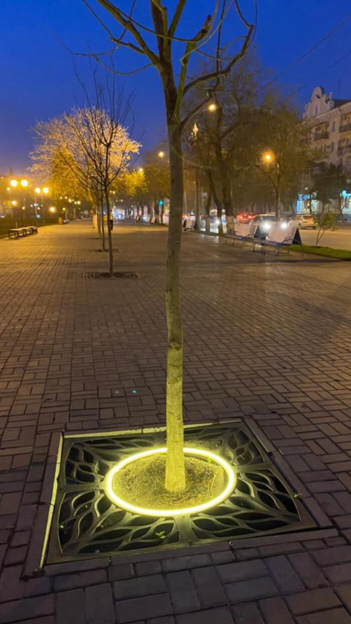 Приствольная решетка для дерева ZKING CRUST 1.2х1.2м Черная в Омске фото